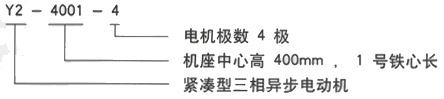 YR系列(H355-1000)高压YJTFKK4505-10-280KW三相异步电机西安西玛电机型号说明